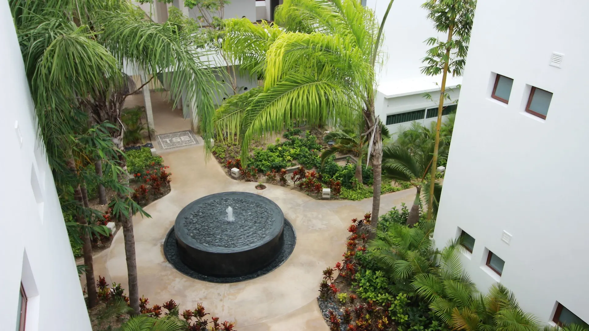 Penthouse Panoramic View By Olahola Apartment Akumal Mexico